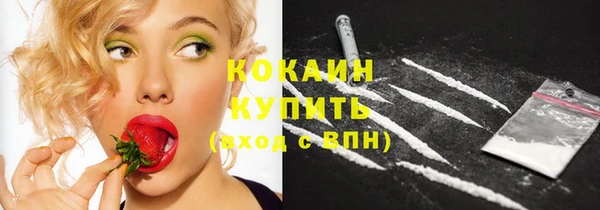 прущие грибы Киреевск