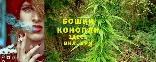 прущие грибы Кинешма