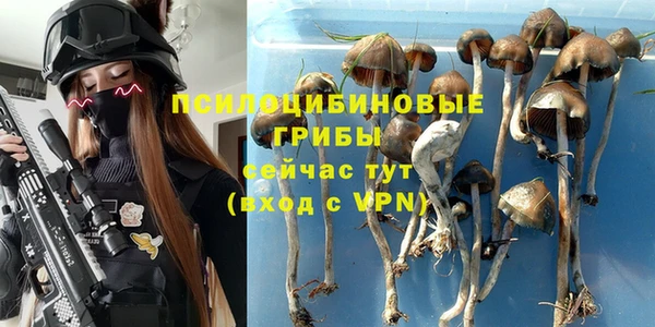 прущие грибы Кинешма